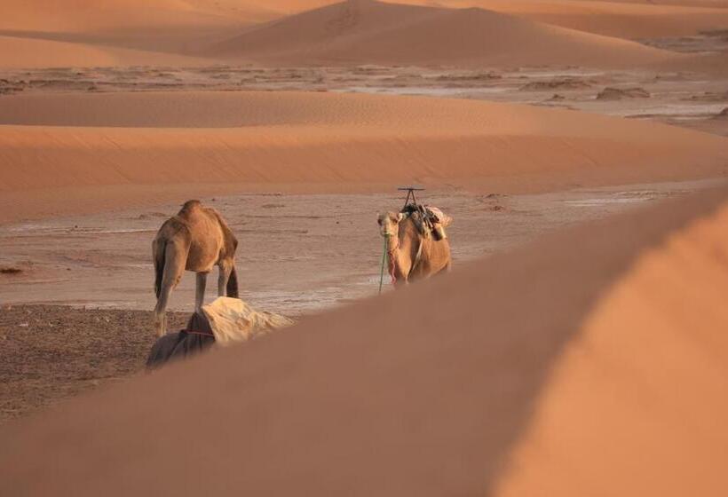 تختخواب و صبحانه Mhamid El Ghizlane Essence