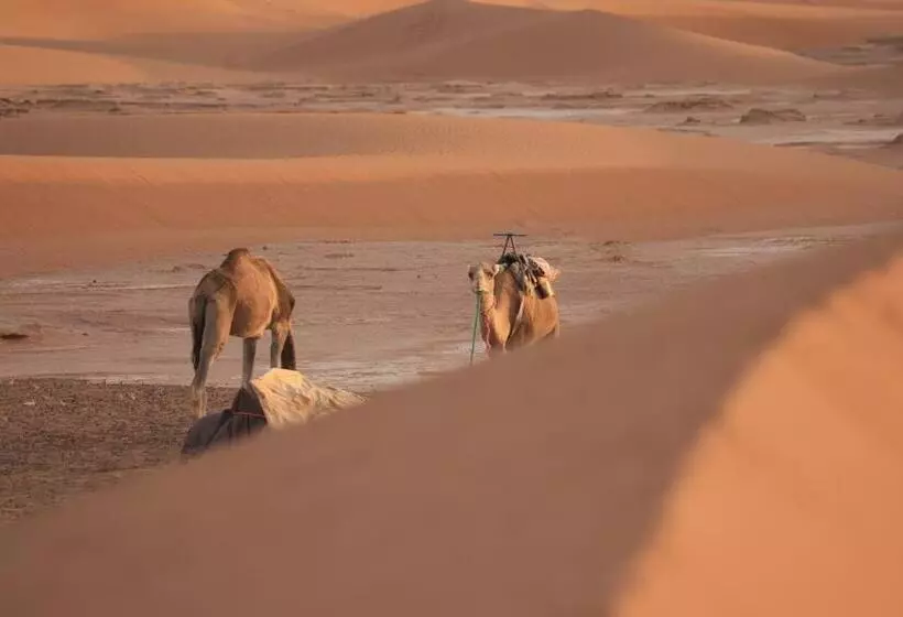 Aamiaismajoitus (B&B) Mhamid El Ghizlane Essence