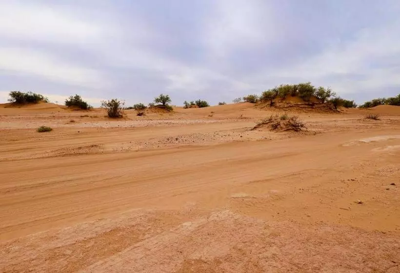 Aamiaismajoitus (B&B) Mhamid El Ghizlane Essence