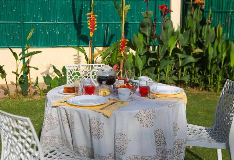 Hotel Play Ikshana Palette