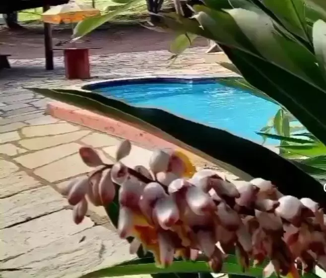 Hotelli Pousada Terra Do Sossego Com Passeio Grátis  Aluga Suítes E Ganha Passeio