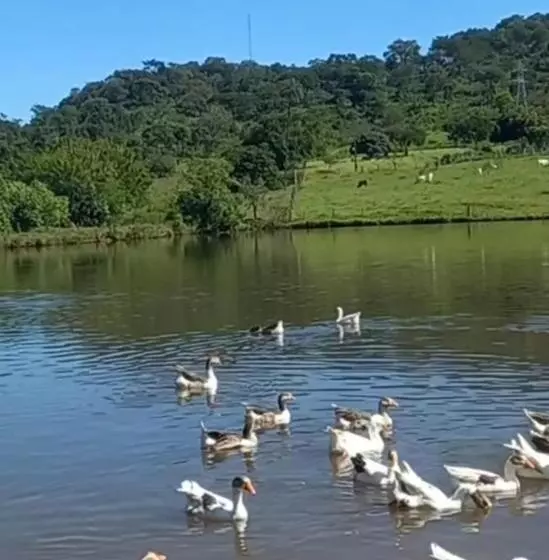 Hotelli Pousada Terra Do Sossego Com Passeio Grátis  Aluga Suítes E Ganha Passeio