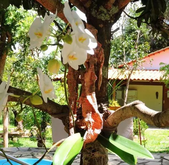 Hotelli Pousada Terra Do Sossego Com Passeio Grátis  Aluga Suítes E Ganha Passeio