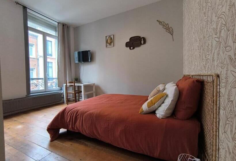 Lerelaisdodile Apparts Conforts Lille