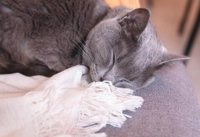 پانسیون Habitación En Hospedaje Achalay, Qué Lindo ! Qué Bueno !