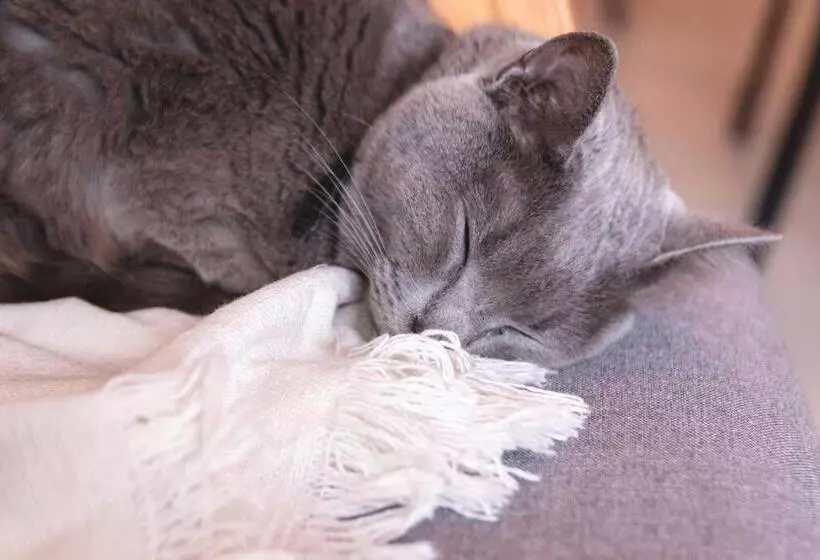 پانسیون Habitación En Hospedaje Achalay, Qué Lindo ! Qué Bueno !