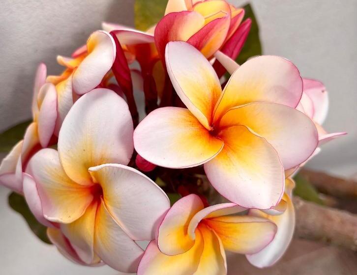 膳宿费 Il Cuore Di Trapani