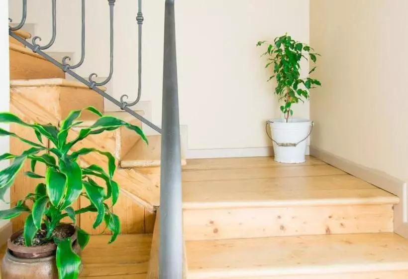 ペンション Le Camere Del Nonno Momi