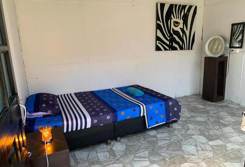 پانسیون Supershorts