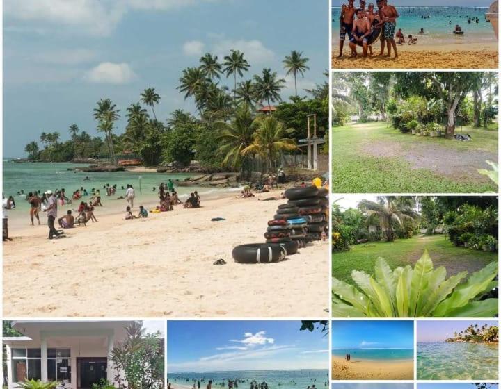 بنسيون The Garden Inn