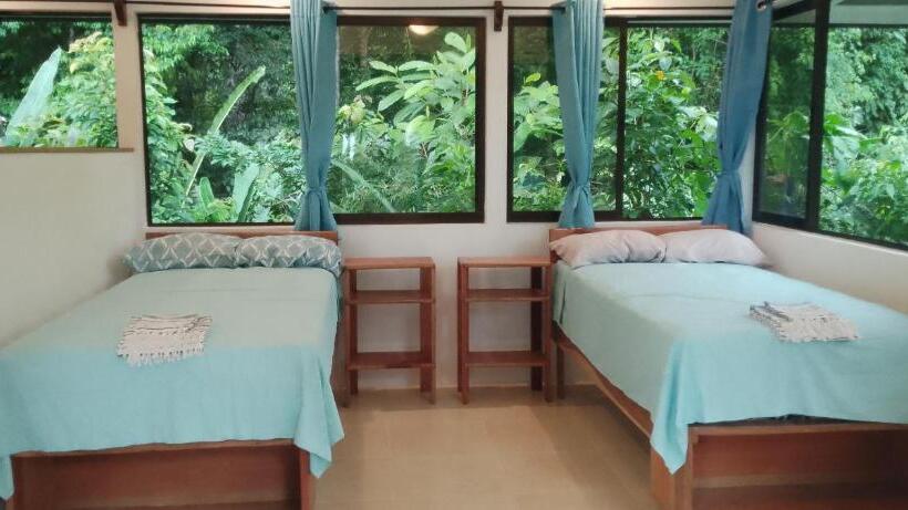 פנסיון Modern Dreamhouse