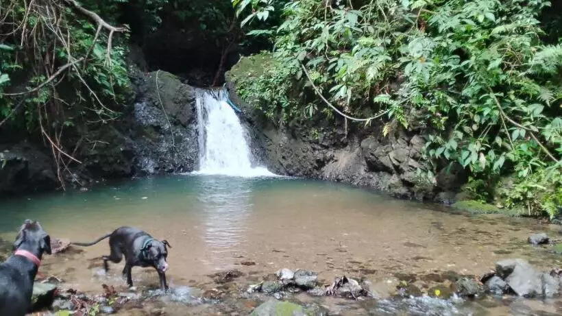 Majatalo Modern Dreamhouse