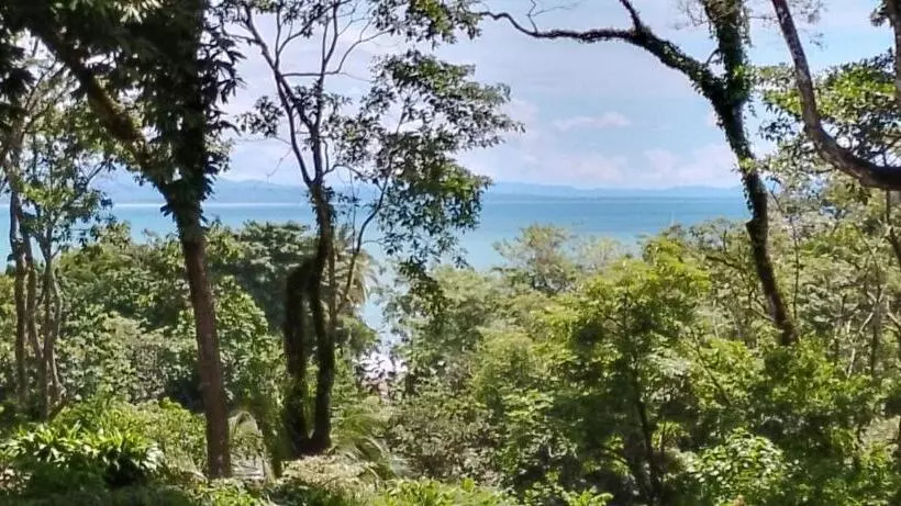 Majatalo Modern Dreamhouse