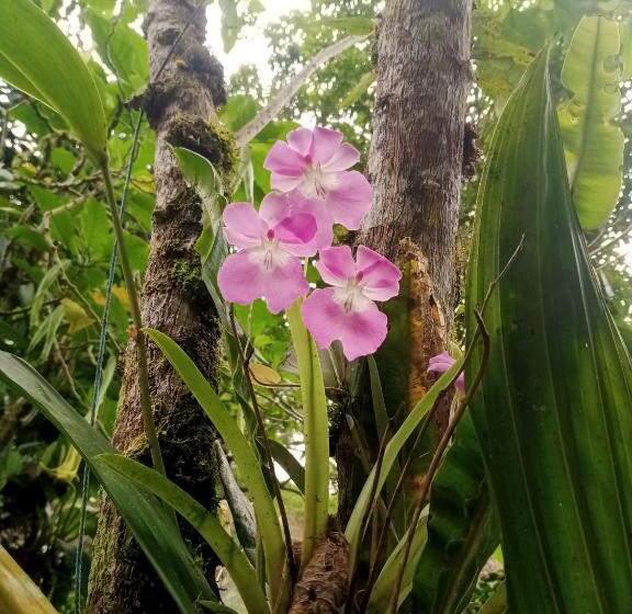 渡假胜地  Los Angeles Junín