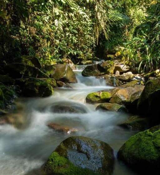 渡假胜地  Los Angeles Junín