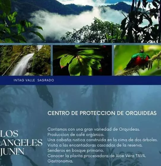 リゾートホテル Los Angeles Junín