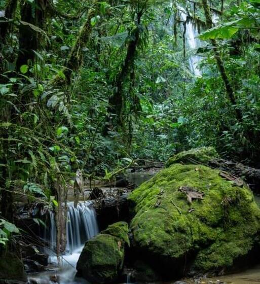 渡假胜地  Los Angeles Junín