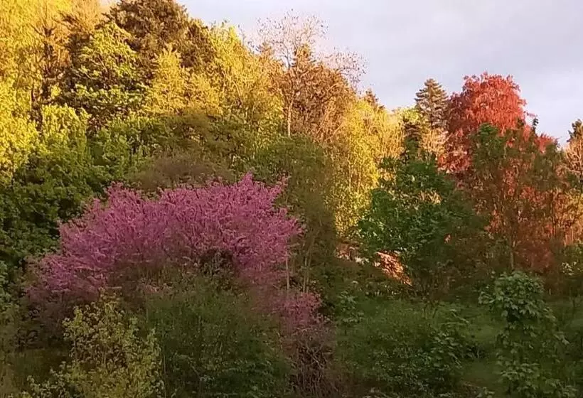 Aamiaismajoitus (B&B) Chateau De Joudes Suite De La Baronne