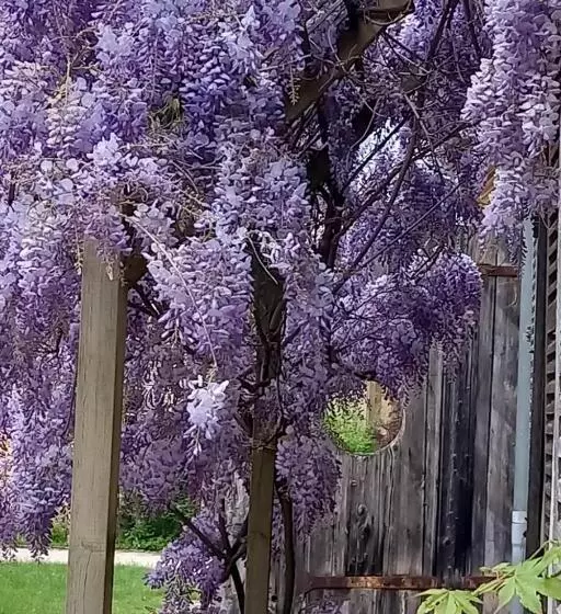 Aamiaismajoitus (B&B) Chateau De Joudes Suite De La Baronne