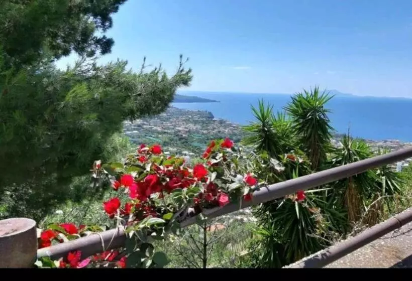 ベッドアンドブレックファースト La Culla Di Minerva