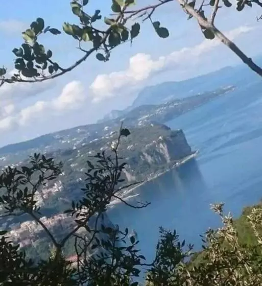 ベッドアンドブレックファースト La Culla Di Minerva