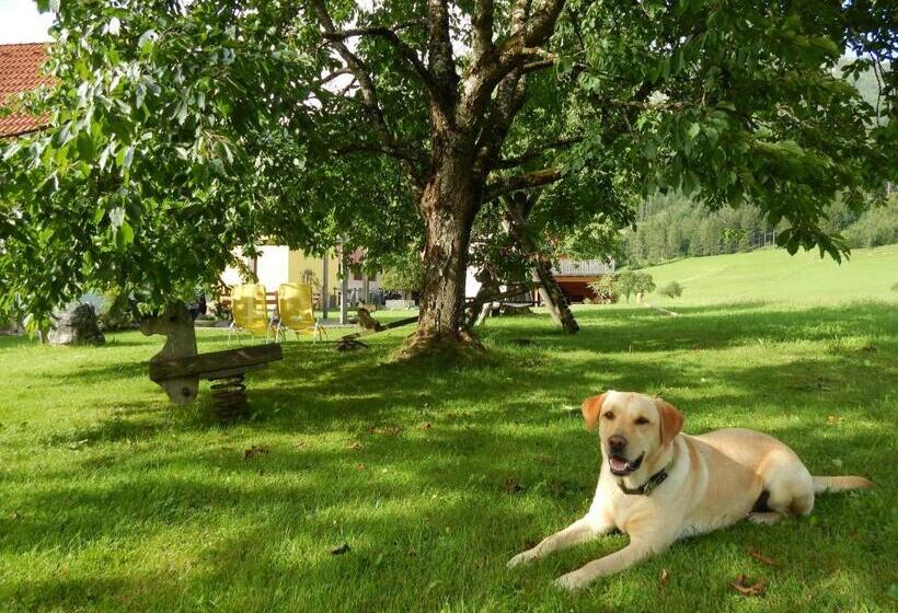 Hotel Peterhof – Komm Als Gast & Geh Als Freund