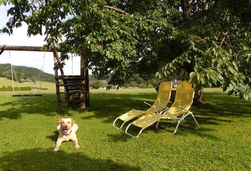 Hotel Peterhof – Komm Als Gast & Geh Als Freund