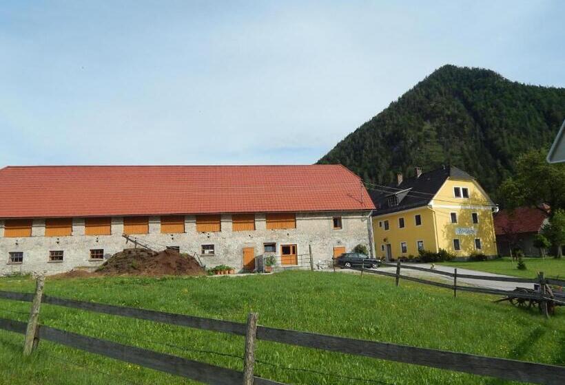 Hotel Peterhof – Komm Als Gast & Geh Als Freund