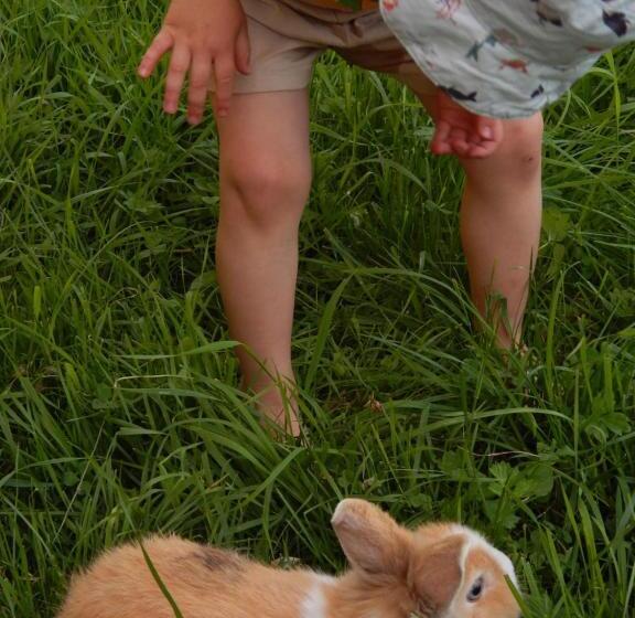 Hotel Peterhof – Komm Als Gast & Geh Als Freund