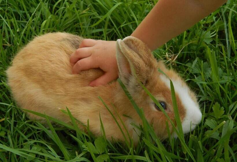 Hotel Peterhof – Komm Als Gast & Geh Als Freund