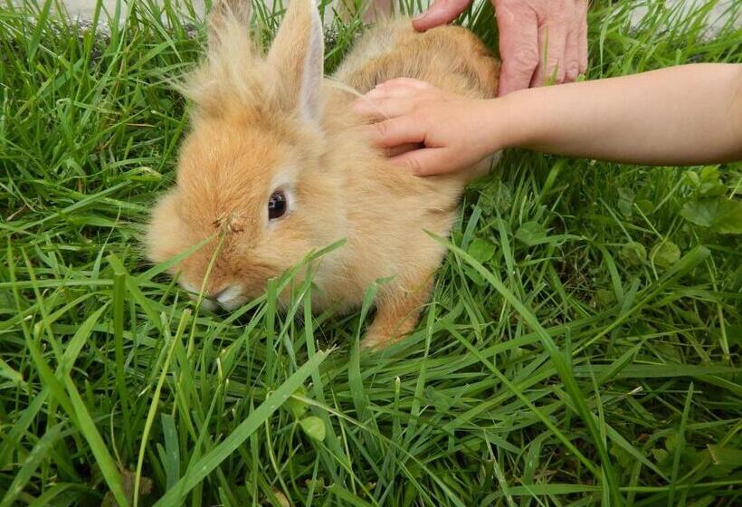 Hotel Peterhof – Komm Als Gast & Geh Als Freund