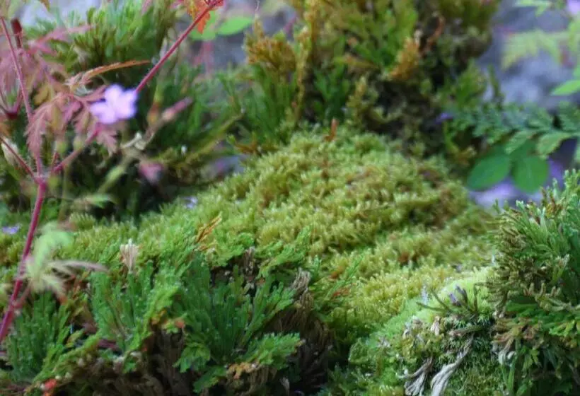 Majatalo 民泊ウトカ