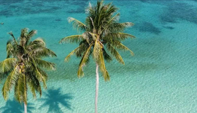 هتل Governors Village   1,2,3 & 4 Bedroom Apartments On Seven Mile Beach Corridor