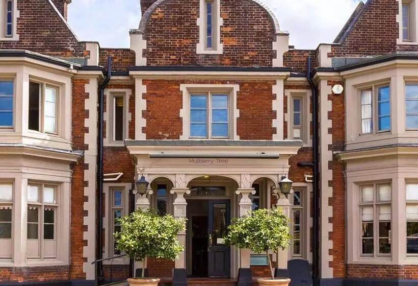 ホテル Mulberry Tree