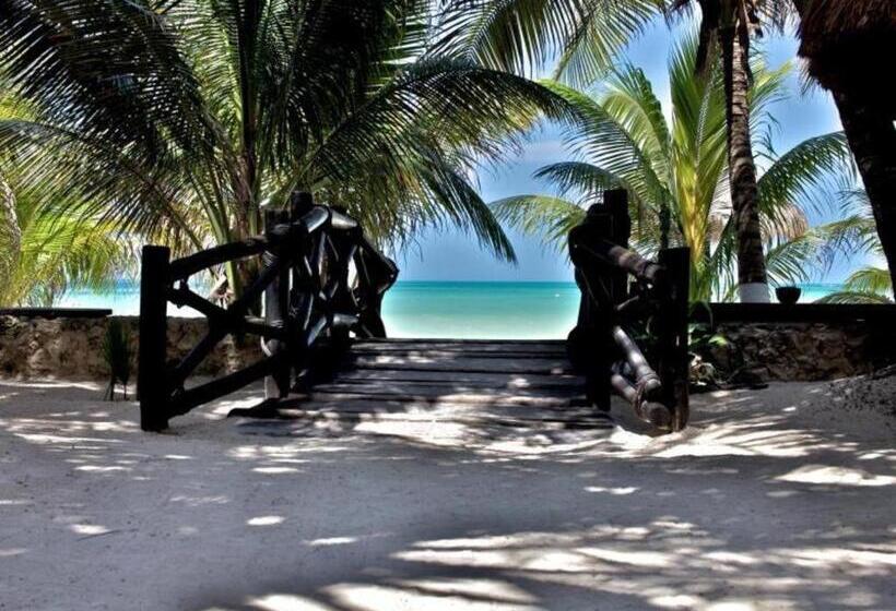 Otel La Palapa Ethno Chic