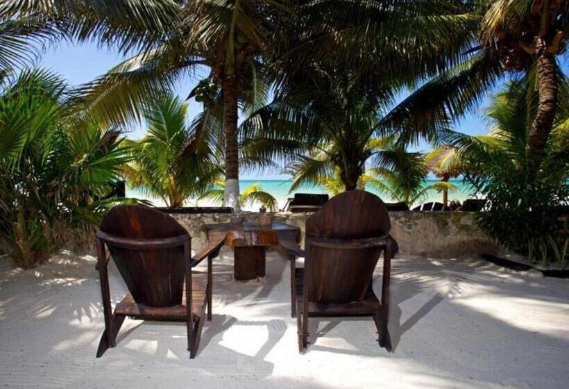 Otel La Palapa Ethno Chic