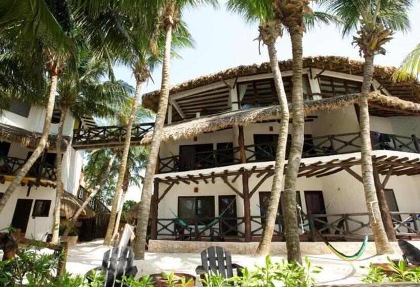 Otel La Palapa Ethno Chic