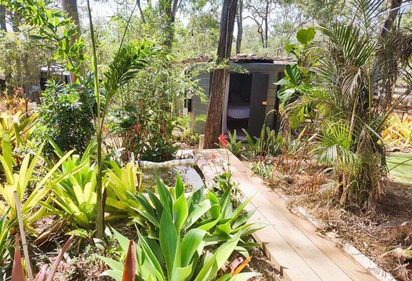 Отель Lush Huts Glamping