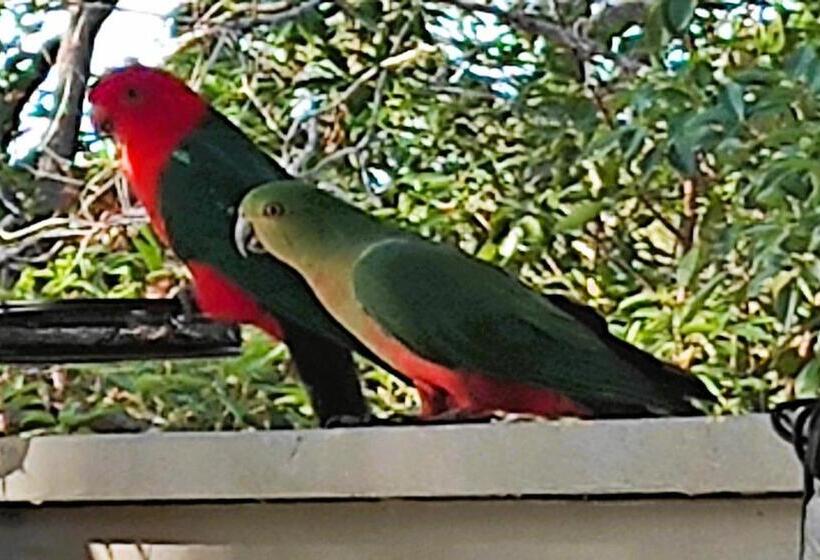 Отель Lush Huts Glamping