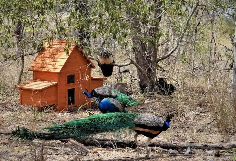 Hotelli Lush Huts Glamping