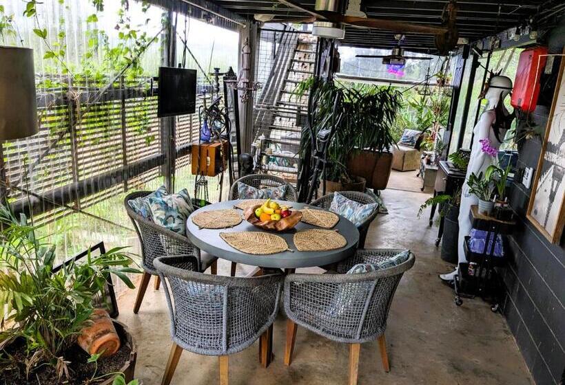 Отель Lush Huts Glamping