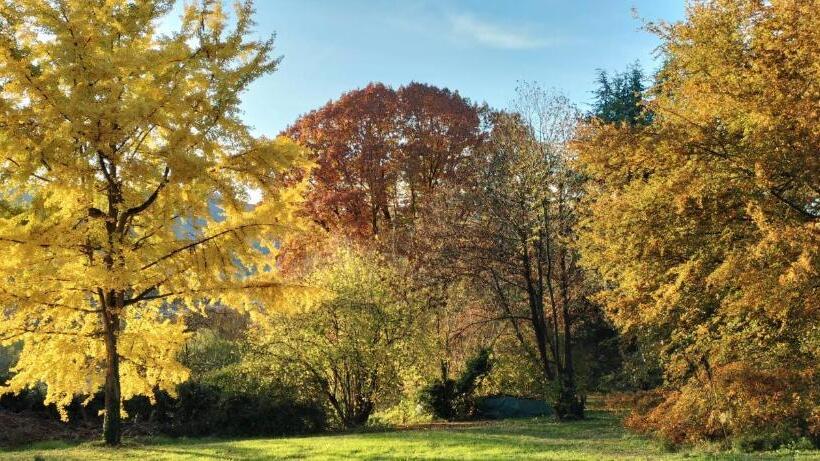 住宿加早餐  Villa Giordana