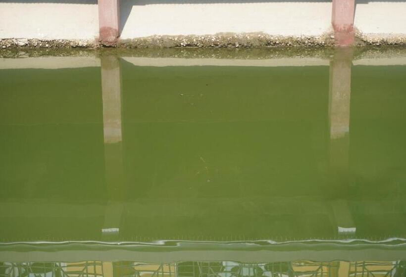 בית מלון כפרי Jupiter Eco Resort