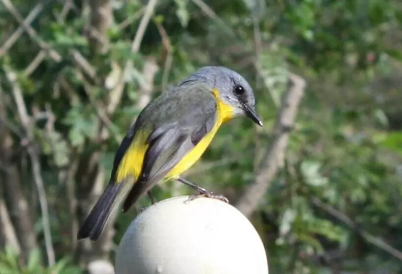 Majatalo Amamoor   Living Waters