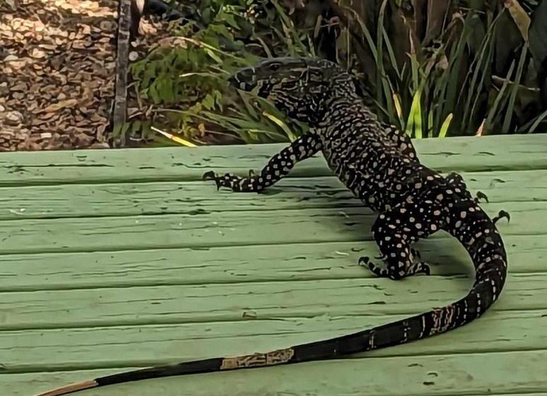 ペンション Amamoor   Living Waters