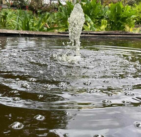 ペンション Amamoor   Living Waters