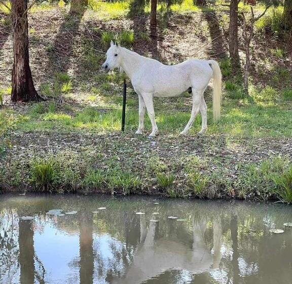 ペンション Amamoor   Living Waters
