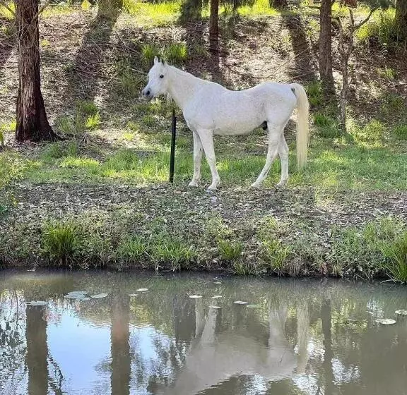 Majatalo Amamoor   Living Waters