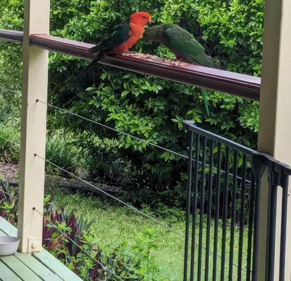 Majatalo Amamoor   Living Waters