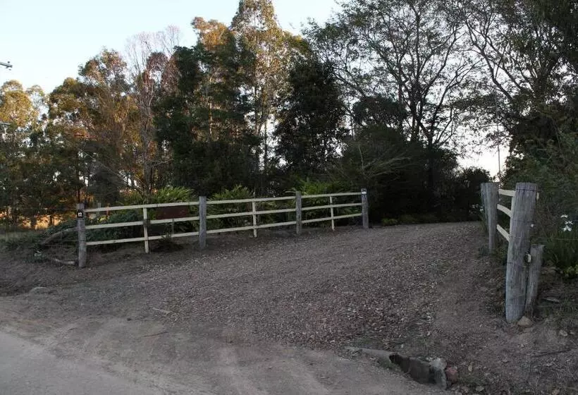 Majatalo Amamoor   Living Waters